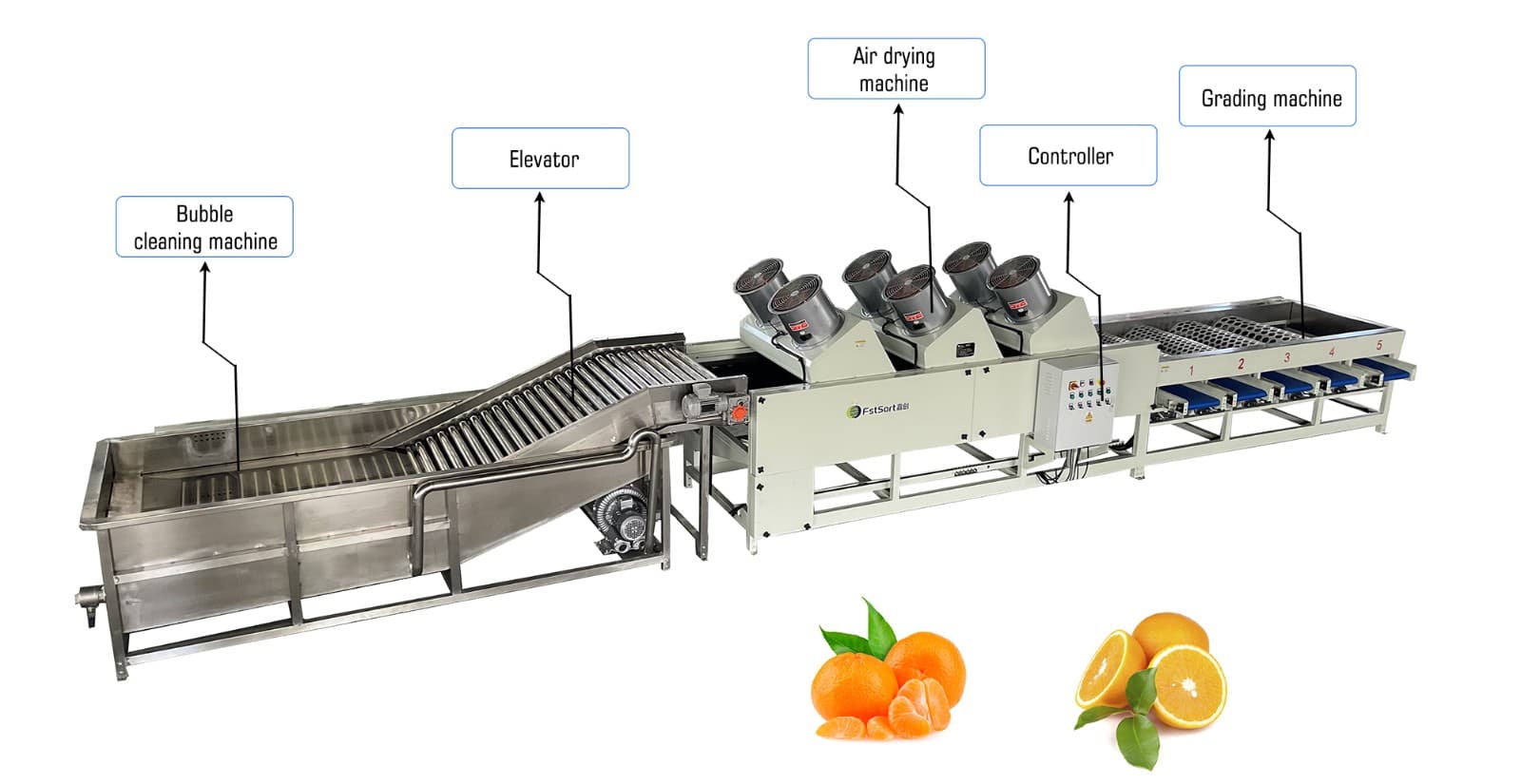 images/1657528196162citrus grading equipment.jpg